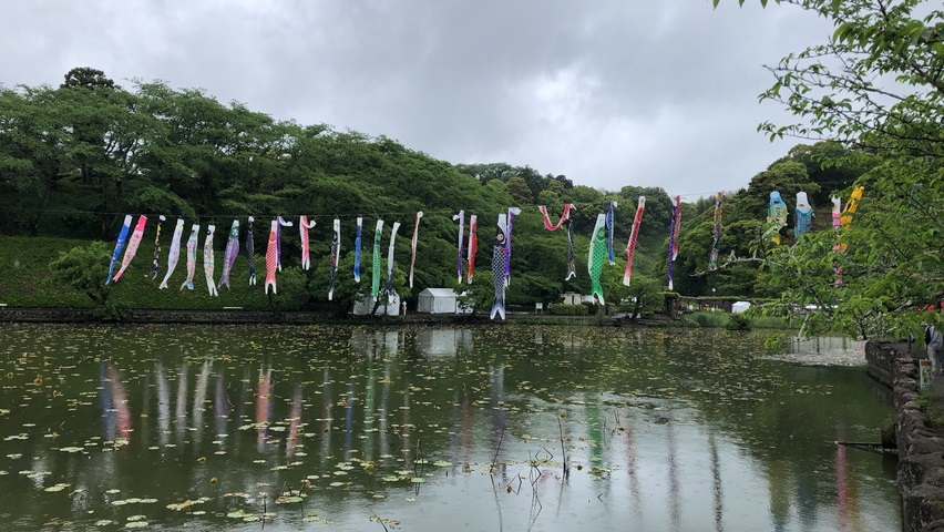 藤枝蓮華寺池公園でゴールデンウィーク鯉のぼりイベント